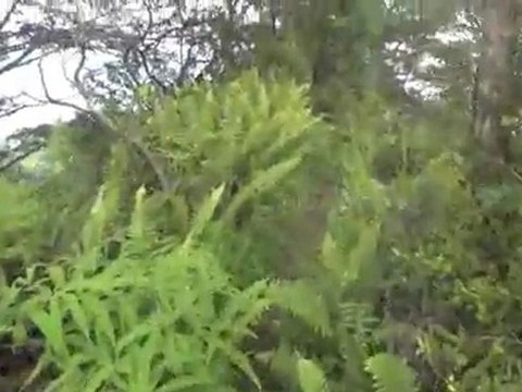 La randonnée des crêtes