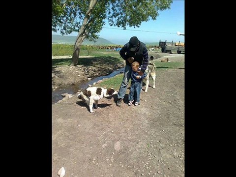 ARDAHAN HOÇVAN NEBİOĞLU KÖYÜ @ MEHMET ALİ ARSLAN Videos
