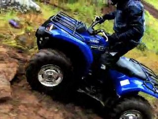 Grizzly 450- EPS H