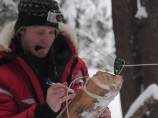 The F&S Adventurer: Mock Polar Bear Charge Shootout