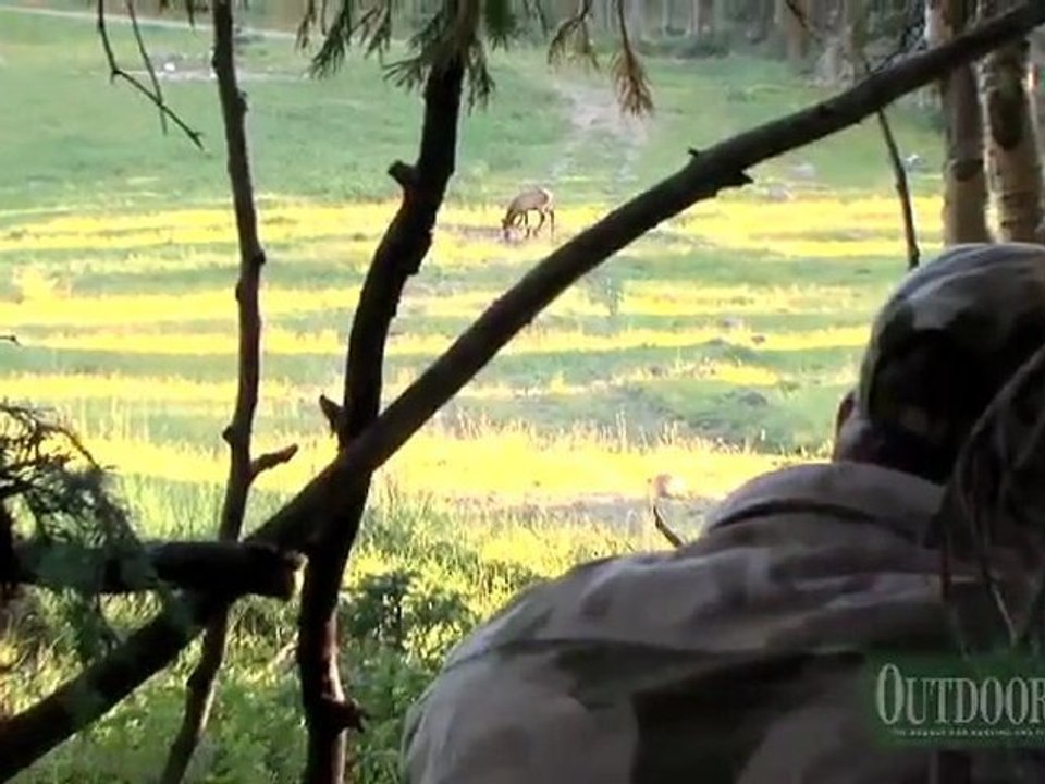 Chafin Gets His Bull