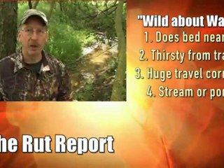 Rut Report: Stay Wild About Water