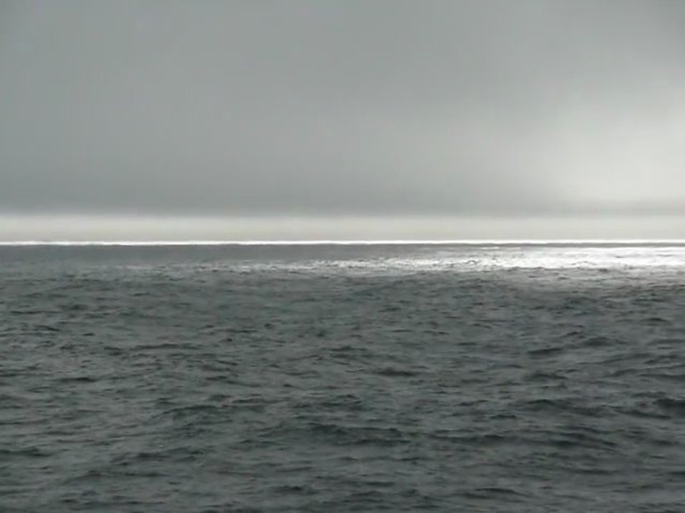 CRUISE (VIKTORIA)-2010 058