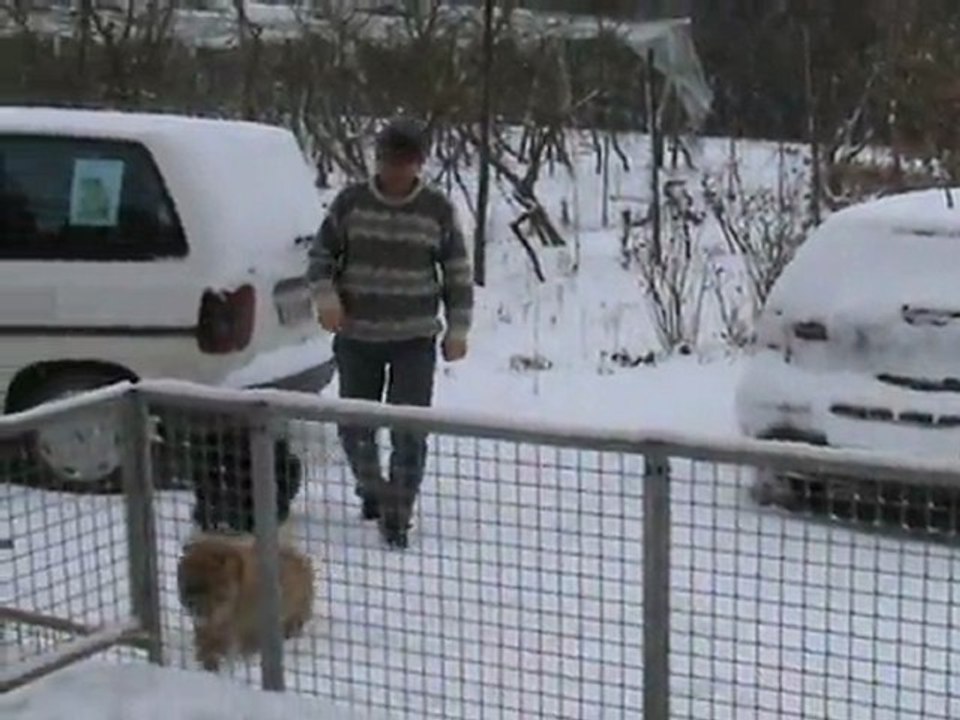 neige fevrier 2012