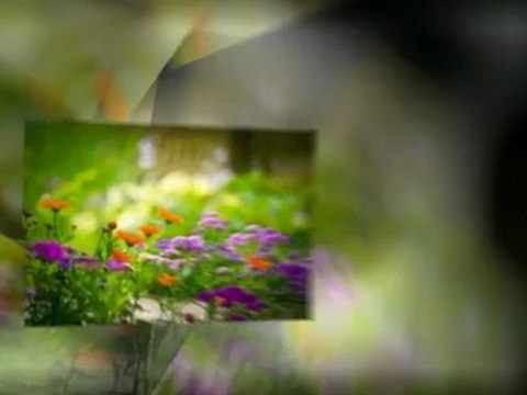 Frederick Jewelry Stores - Waldin Jewelers