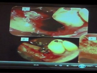 Dr. Gassan YÜCEL Eğitim Semineri