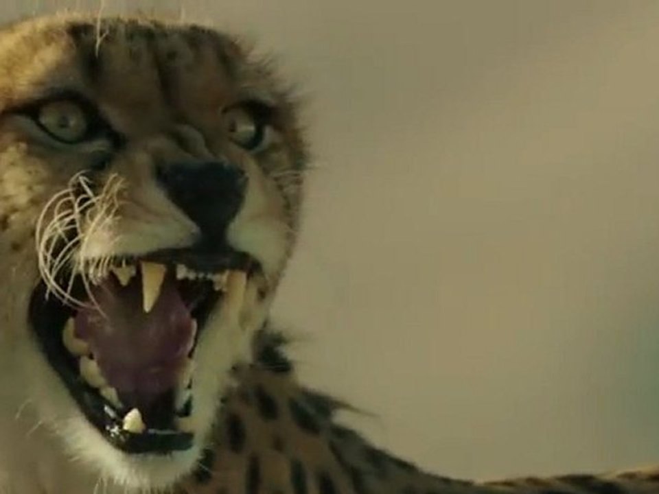 Cheetah-Official-big-game-ad-for-Hyundai-Veloster-Turbo