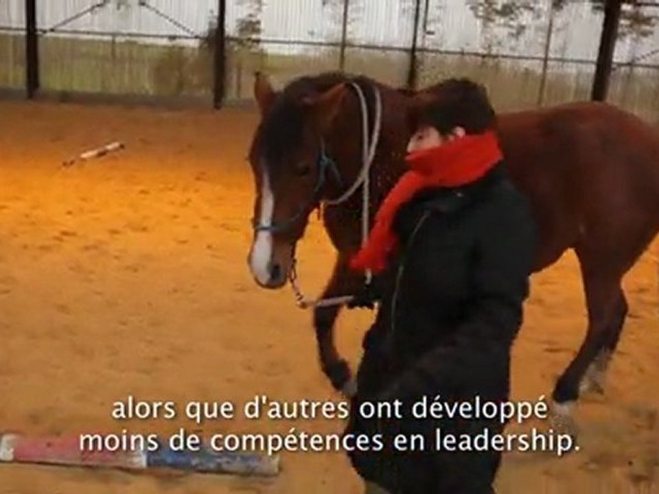 Formation leadership en équi-coaching : témoignage