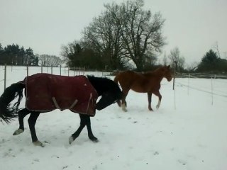 Mes papis - 5 février 2012