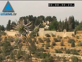 Ein Karem, un paraíso en Jerusalén