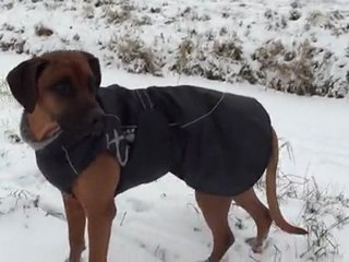 Eerste dag sneeuw in 2012