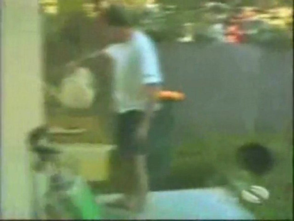 Funny Animal Stunts....