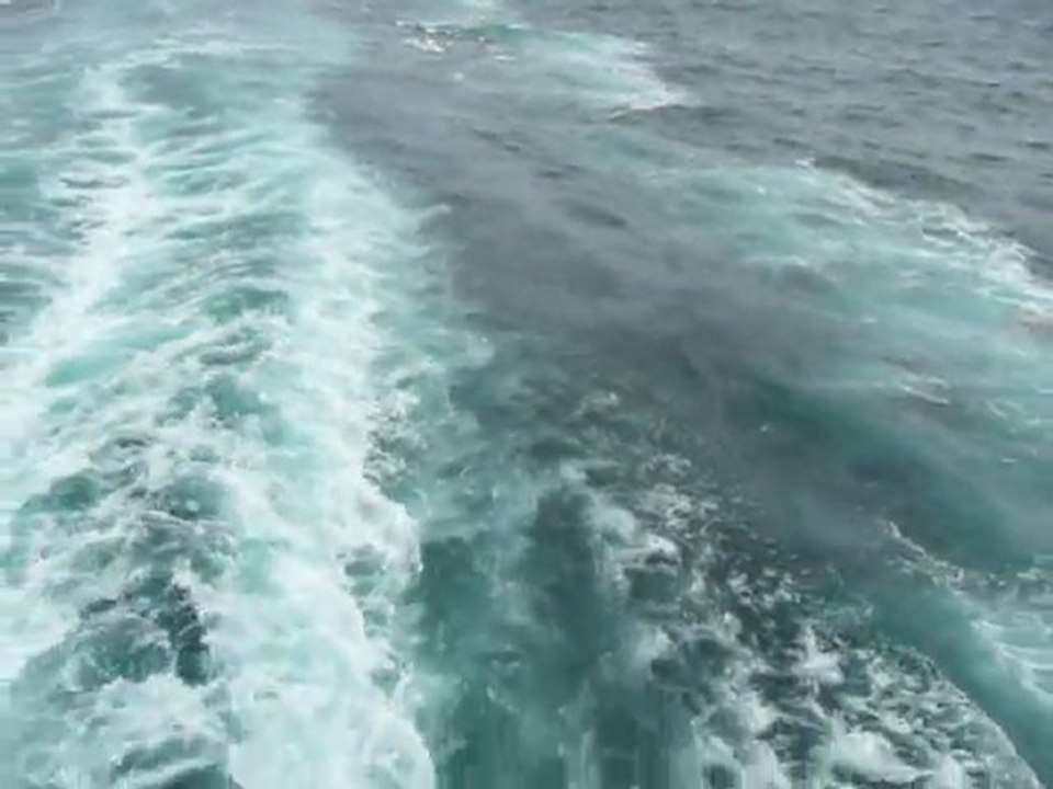 CRUISE (VIKTORIA)-2010 059