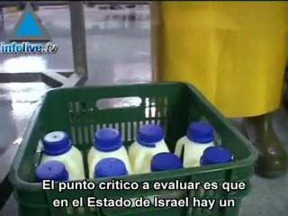 Lucha contra la pobreza - tarea del próximo gobierno