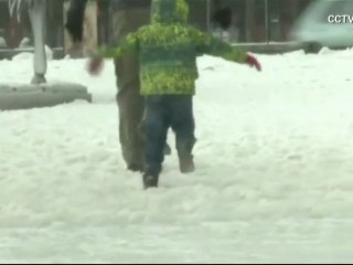 Ginebra bajo hielo por ola de frío
