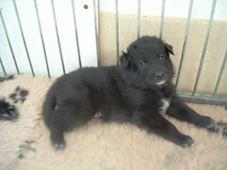 6 février 2012 (3) : 3 semaines et demi