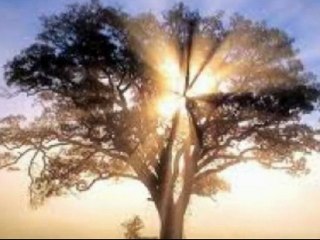 Lino Mori - Me parlan e te