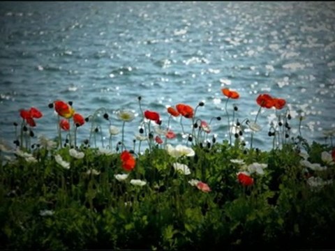 Online Jewelry Stores - Waldin Jewelers