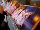 «Удивительное представление!» - Shen Yun в Канаде