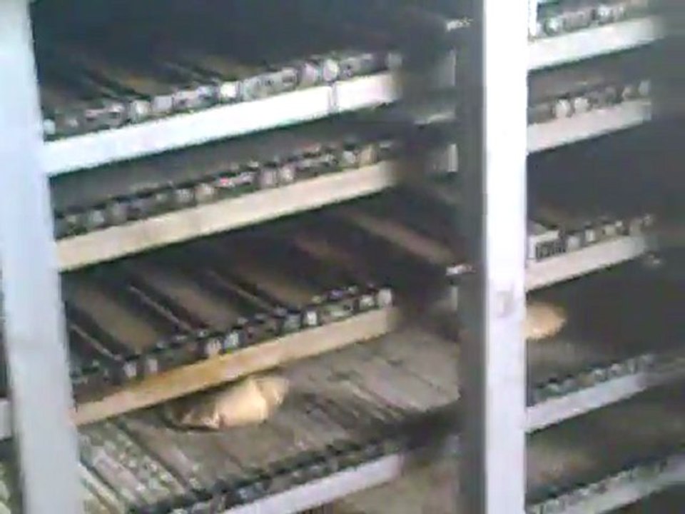 papad making machine