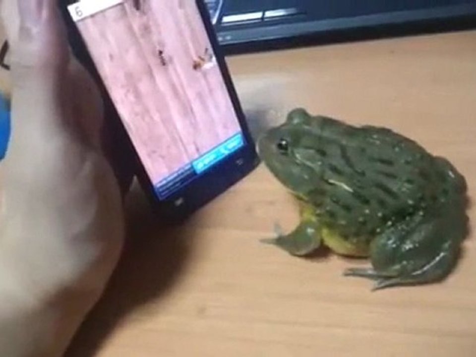 revenge of the frog