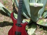 Beaux Métiers / Luthier - PMC Guitars
