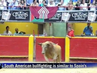 LatAm activists protest against bullfighting