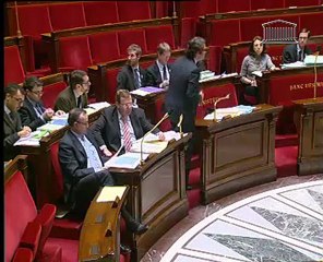 Débat sur l'article 40 du projet de loi de simplification du droit - André Chassaigne