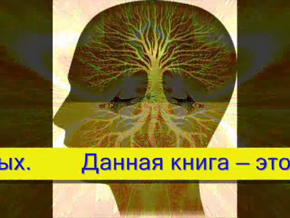 Ёжик в тумане или выход к цели