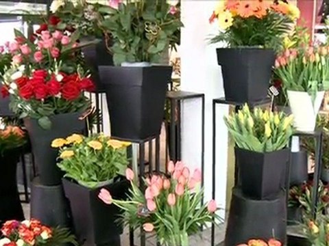 Ma boîte à outils - Fleuriste (06.02.2012)