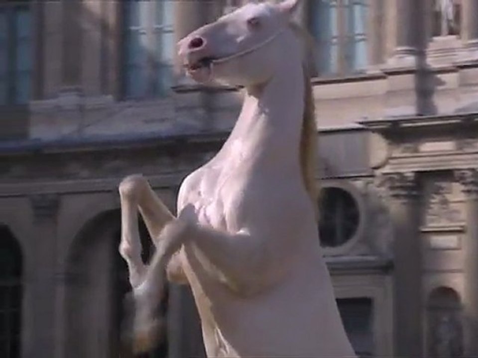 Les Chevaux du Louvre 01