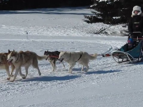 Balade de Max et Yohan en traineau à chiens (02/2012)