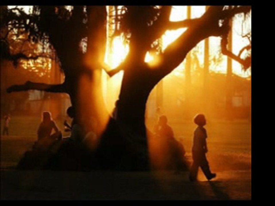 GİZEMLİ  DÜNYAMDA  ...