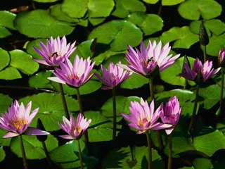 El Arma más poderosa 1ª Parte