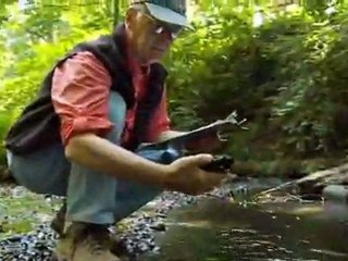 Episode 6: Heroes in Action