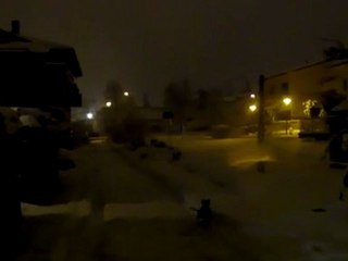 Giocando con il mio cane