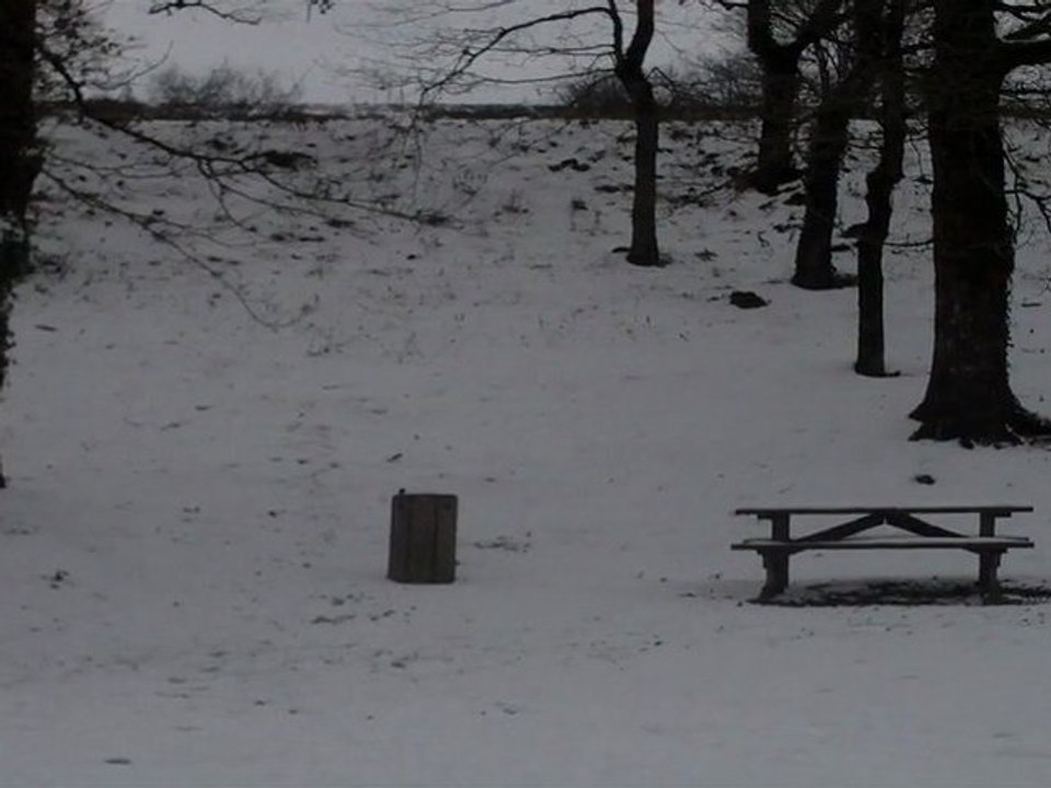 Rau de la Jarousselière