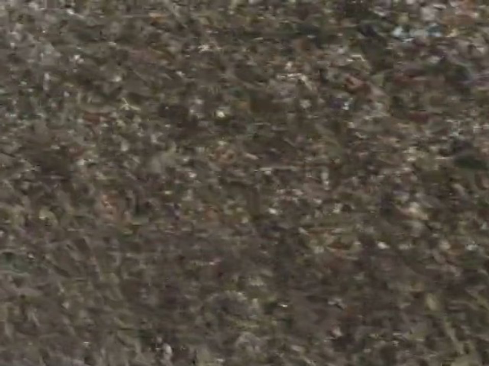 la plaine de Prahecq sous la neige le 06/02/2012