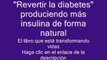 Como Curar La Diabetes Tipo 1 y 2 (Finalmente Revelado)  El Remedio para la diabetes
