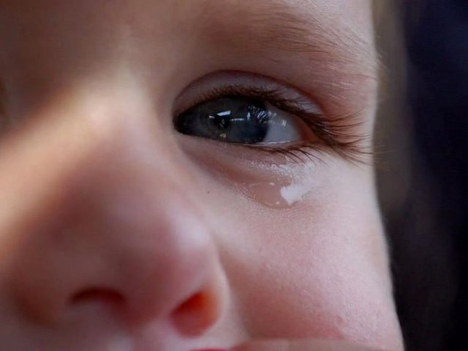 FRANCOIS FELDMAN PETIT FRANCK