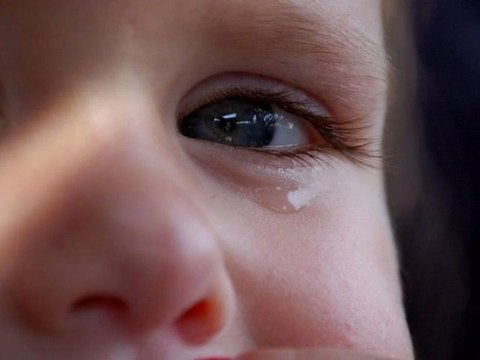 FRANCOIS FELDMAN PETIT FRANCK