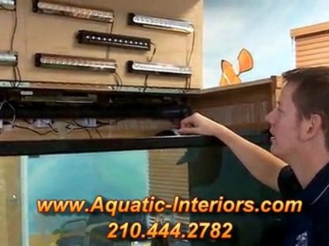 Fine Custom Aquariums And Cabinetry Incorporates LED Light Technology