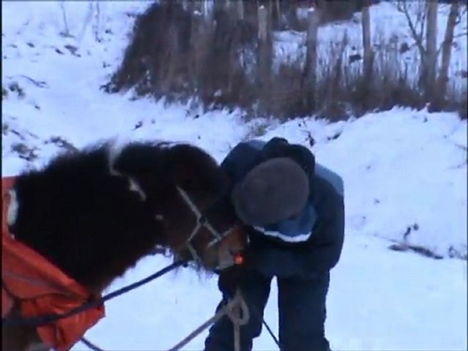 6 Février 2o12 -Luge Joering-