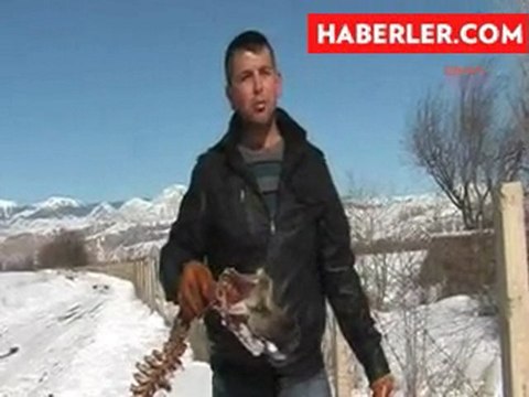 Demirbilek Haber - Kurt Saldırısından Geriye Bu Kaldı haberi