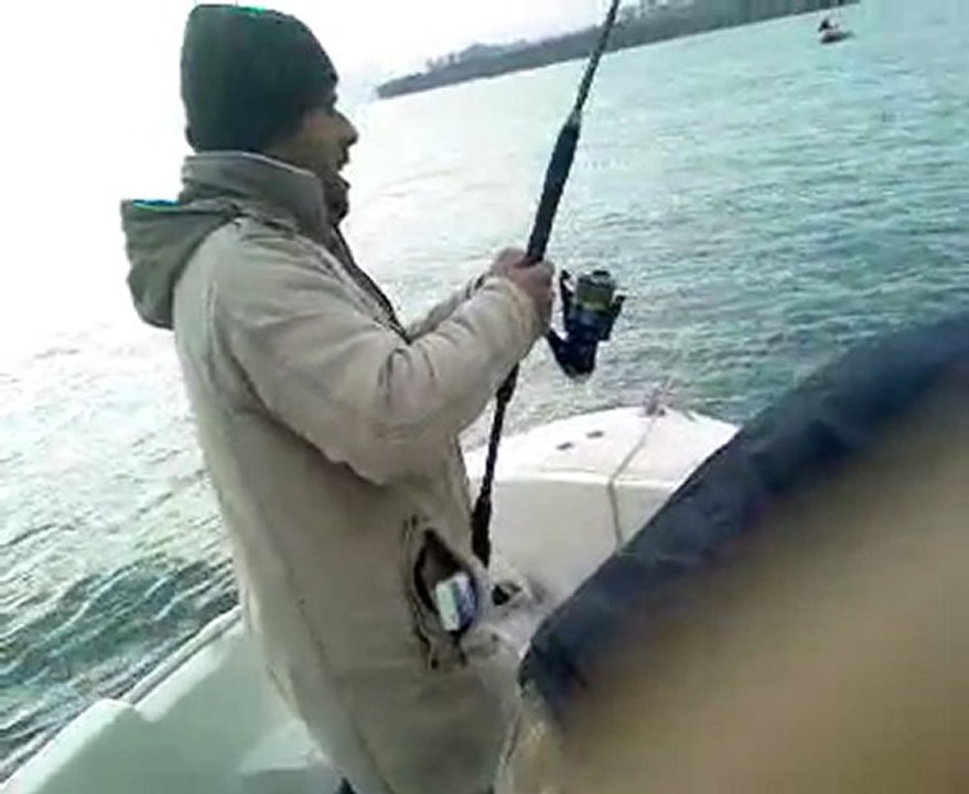 erkan jigging kuzu antalya