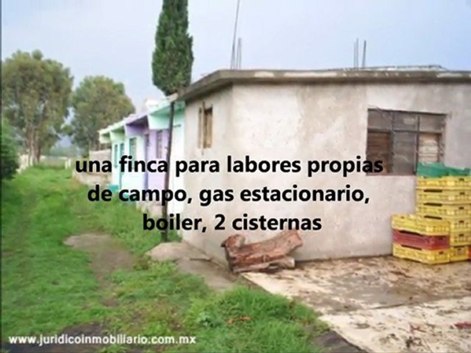 Terreno en venta en Chalco -fte. a la Universidad Albert Einstein-