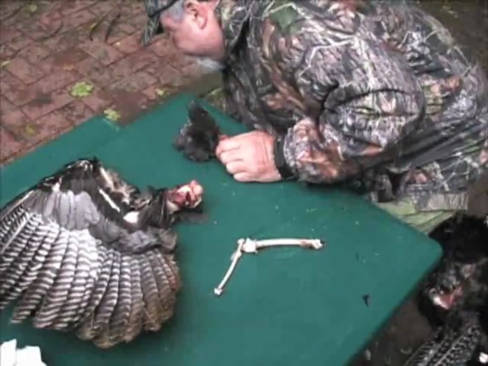 Wing Bone Call