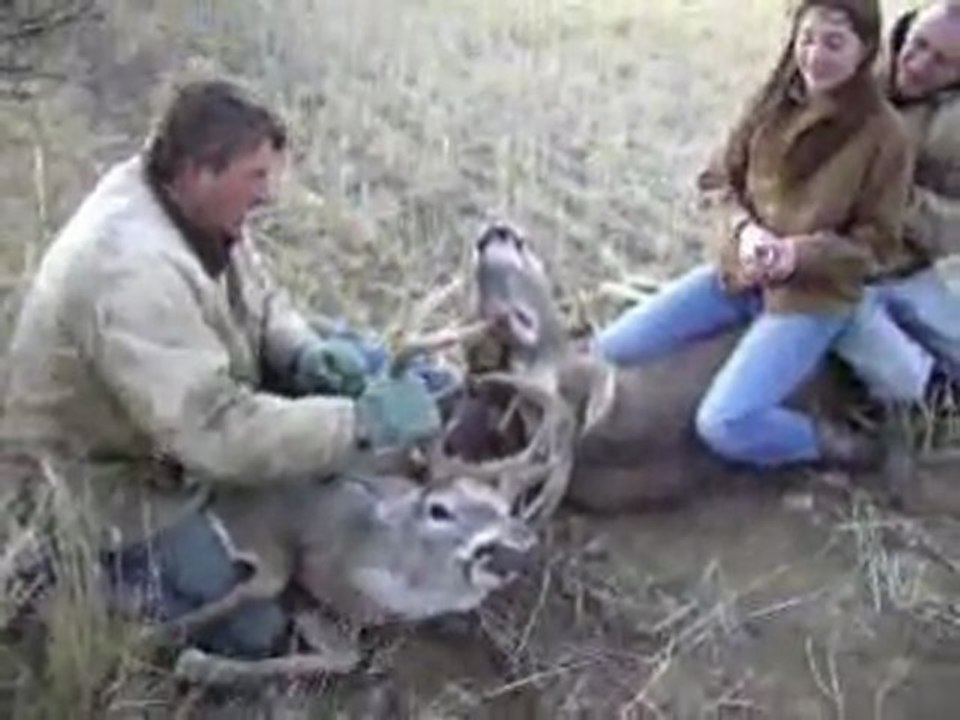 Locked Bucks Rescue