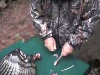 Make Your Own Wingbone Call