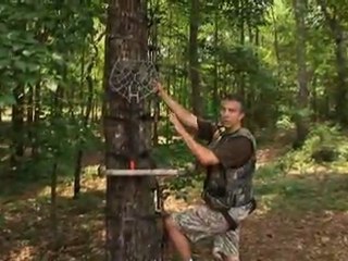 Setting A Tree Stand